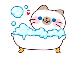 Have fun chatting with this sticker pack