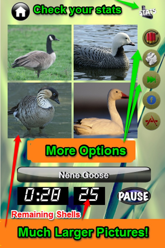 Duck Master: Duck ID Quiz Game screenshot 3