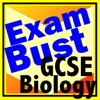 GCSE Biology Prep Flashcards Exambusters