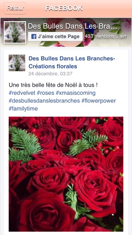 Des Bulles dans les Branches