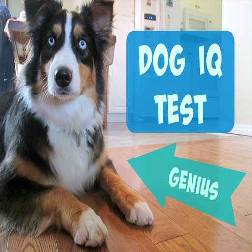 Guide for Dog Breeds IQ Test