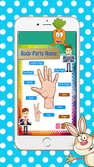 Body Parts Name: 網上學英語(圖2)-速報App