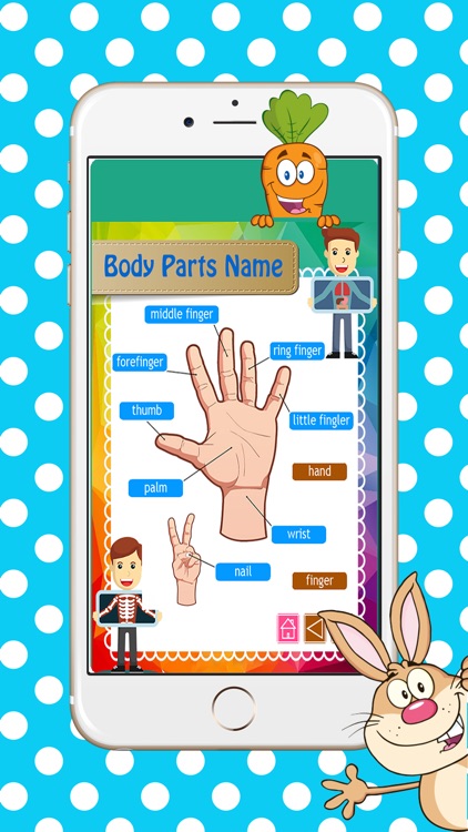 Reading Body Parts Name English Picture Vocabulary