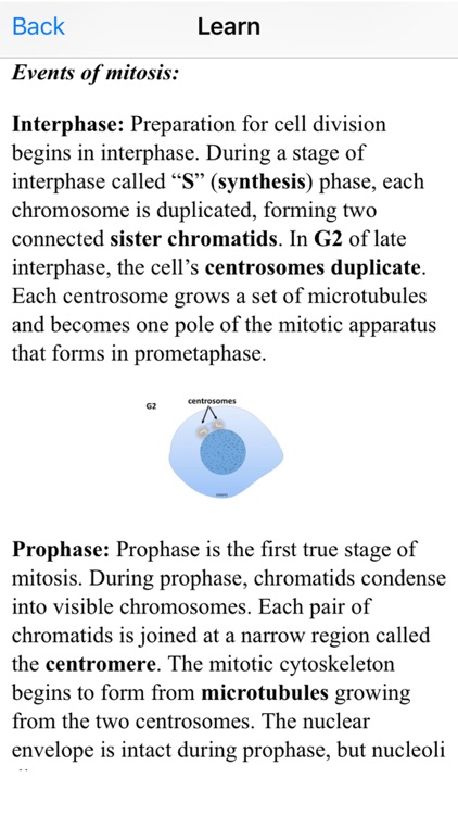 Cell Biology 101