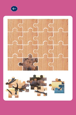 Pop OH Deer Puzzle for Kids Preschool Matching screenshot 2