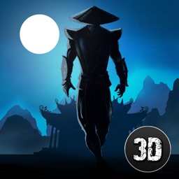Shadow Kung Fu Fighting 3D - 3
