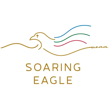 Soaring Eagle Media Читы