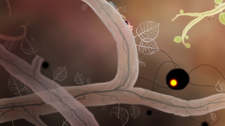 Botanicula