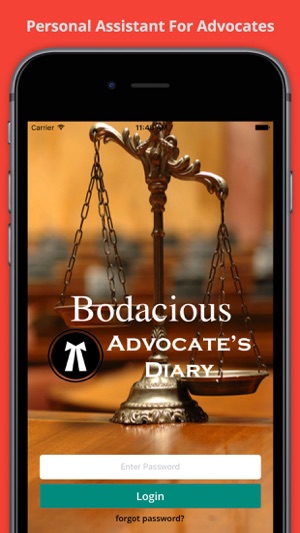 Bodacious Advocate's Diary