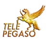 TelePegaso TV