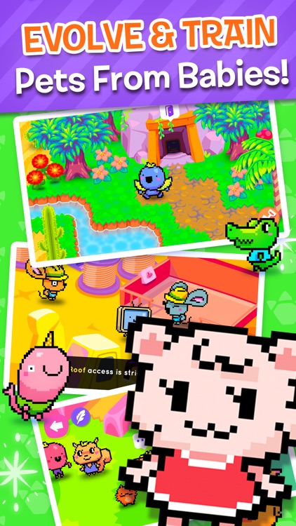 Pakka Pets Village - Build a Cute Virtual Pet Town