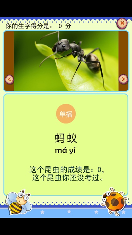 宝宝识字学说话-昆虫篇