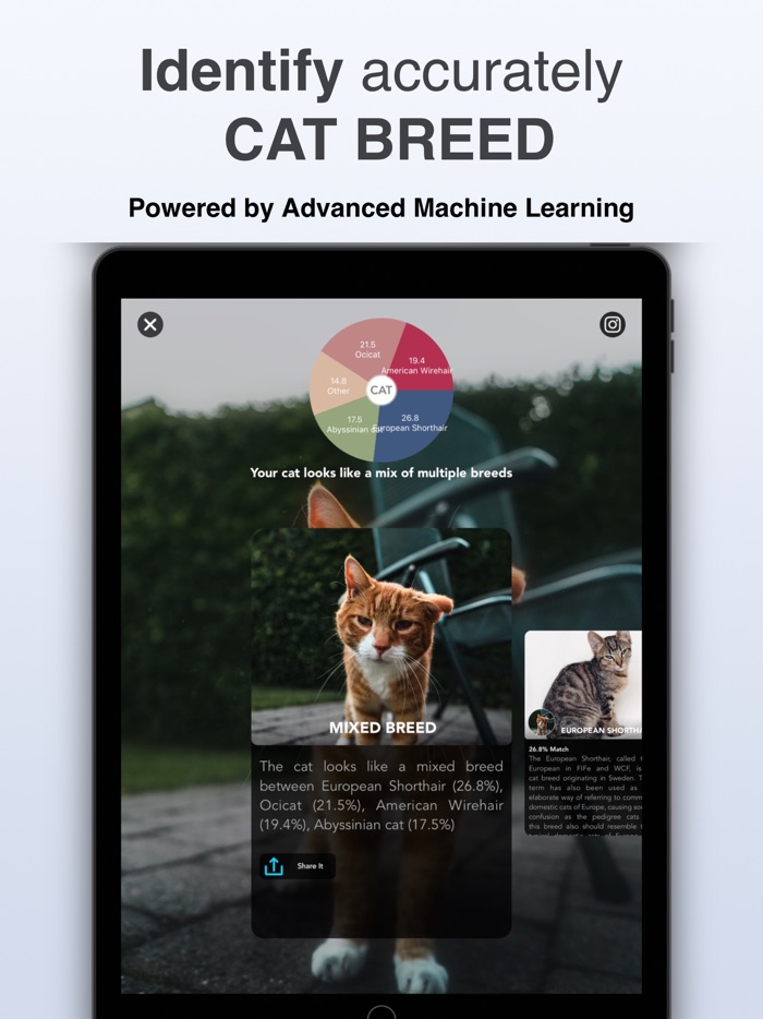 Dog  Cat Identifier - Scanner