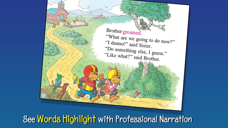 The Berenstain Bears: Safe and Sound!