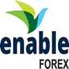 Enable Forex VertexFX Trader