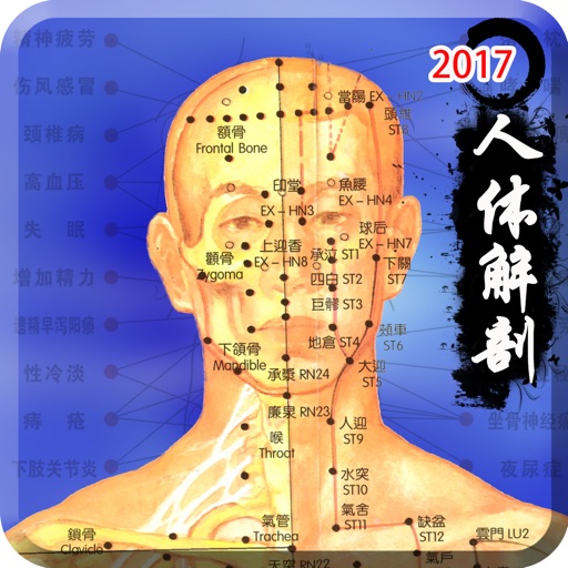 3d人体解剖生理学-人体医学肌肉解剖图谱 Icon