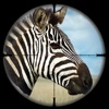 Wild Zebra Hunting Simulator