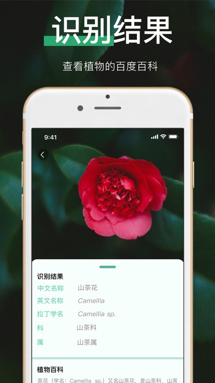 植物识别 - 拍照识别花草树木 screenshot-3