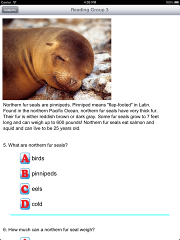 Reading Comprehension Grades 2-3 - náhled