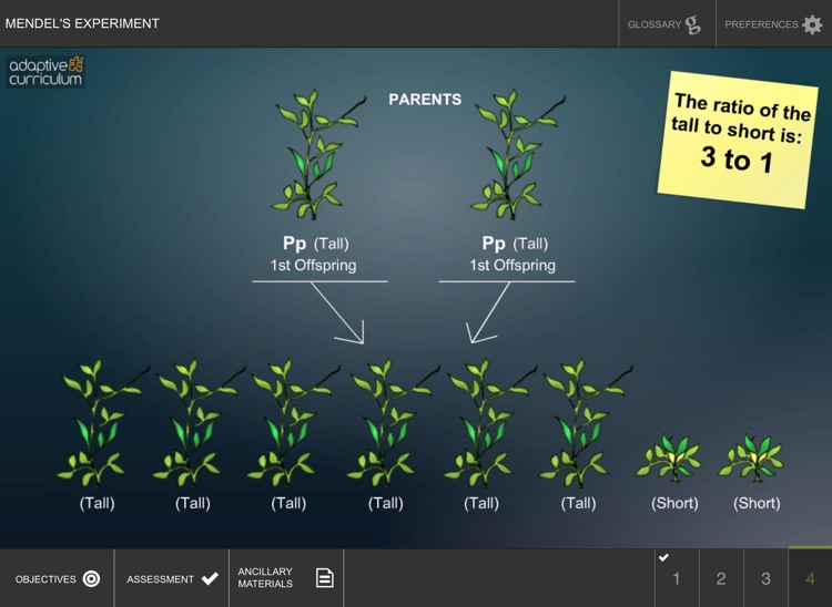 Mendel’s Experiment screenshot-3