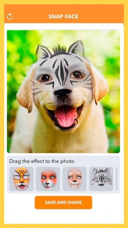 Snap Face - Photo filters in snapchat style screenshot-4