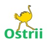 Ostrii