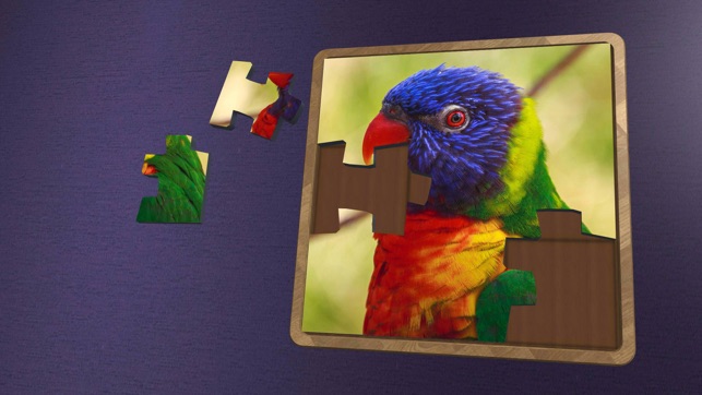 Super Jigsaws Birds(圖3)-速報App