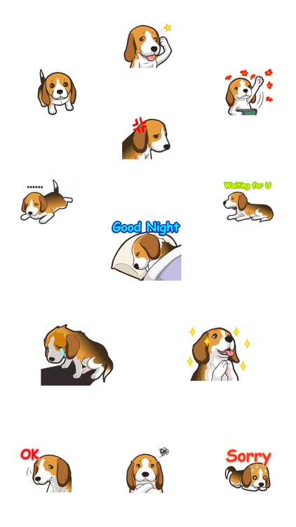 Beagle Dog - Stickers