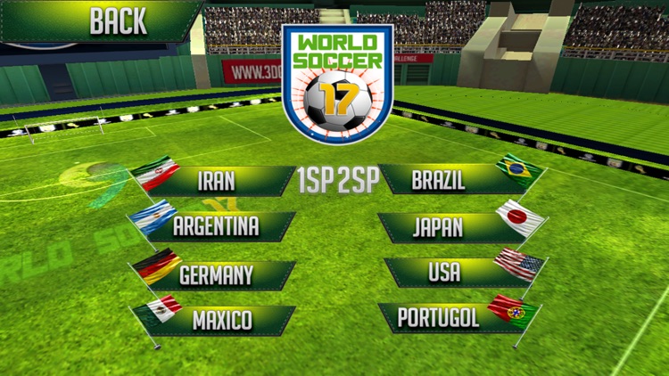 World soccer17