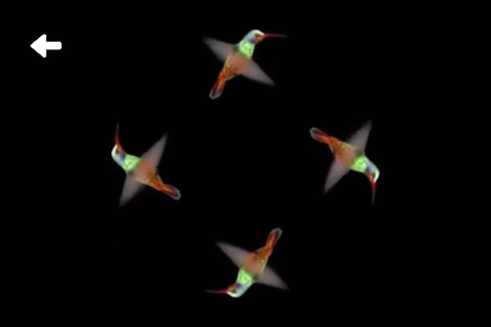 Hologram Pyramid Videos screenshot 4