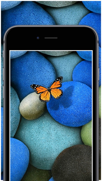 Wallpaper App - HD Live Wallpapers & backgrounds