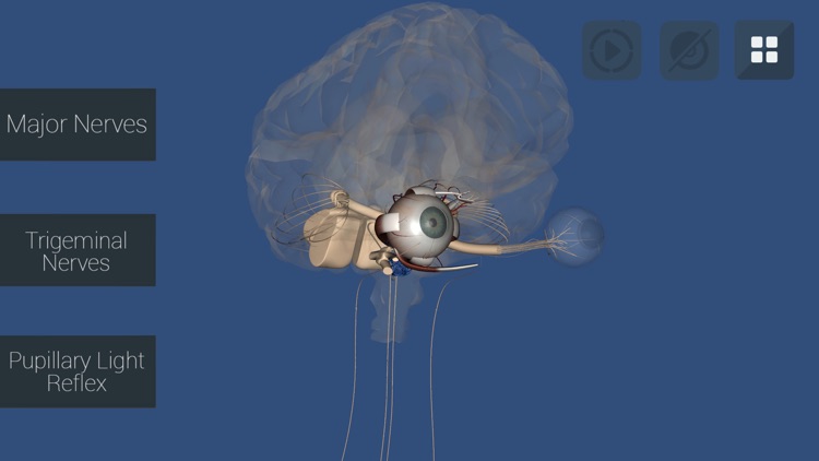 Anu Reality EyeSim Mobile 2