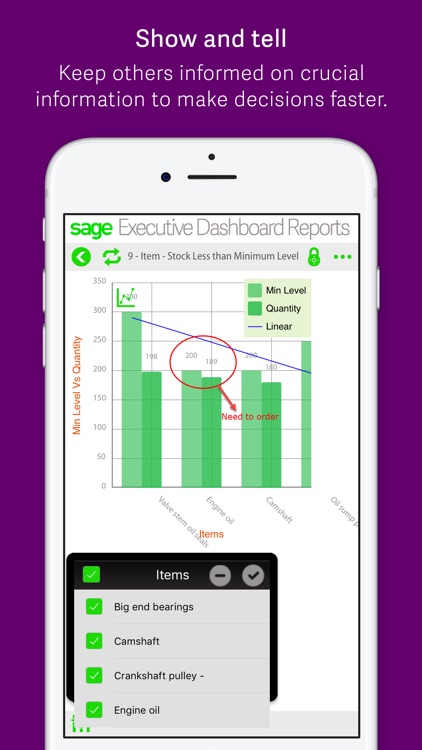 Sage Executive Dashboard Reports screenshot-4