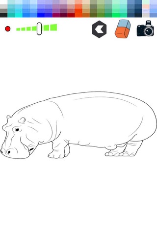 Hippo Animals Coloring Book - Finger Paint Book screenshot 2