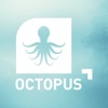 Octopus Zitting