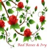Red Roses and Ivy