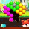 Hexa Fox Puzzle