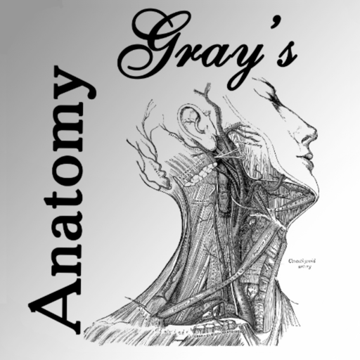 Gray's Anatomy icon