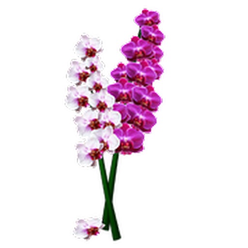 Orchids Sticker Pack icon