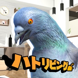 ハトリビング｜鳩がリビングで豆を食べるゲーム