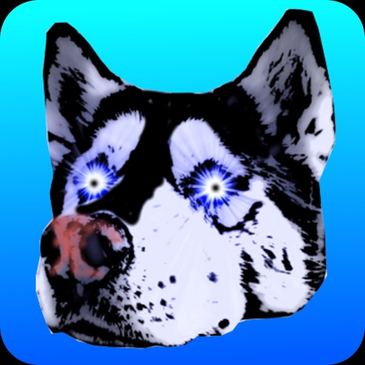 Husky: Destination Home iOS App