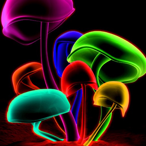 Neon Wallpapers – Neon Arts & Neon Pictures HD