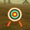 3D Bow and Arrow is a free archery games, you need finish all three training level to become qualified archer, Good Luck