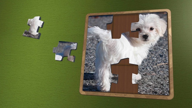 Super Jigsaws Puppies(圖1)-速報App