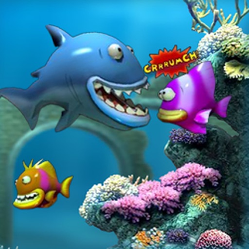 King Of Fish