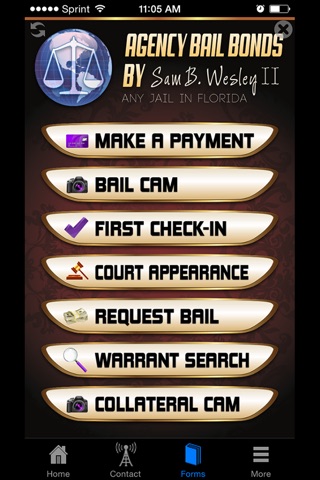 Agency Bail Bonds screenshot 3