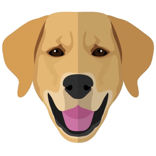 My Golden Retriever