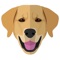 Finally a great personalised app for your Golden Retriever