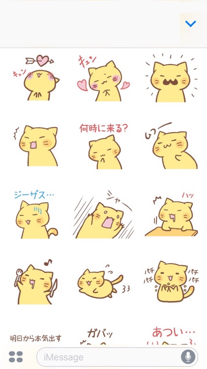 nyanko2