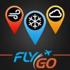 Aviation Weather Group Manager - Flygo-Aviation Ltd